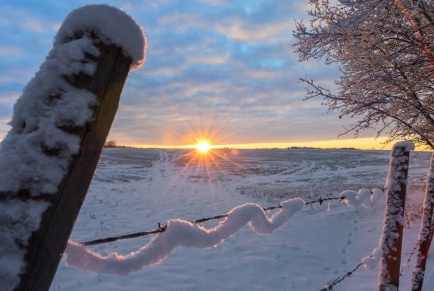 istock Frosty sunlit morning in the countryside 900523438