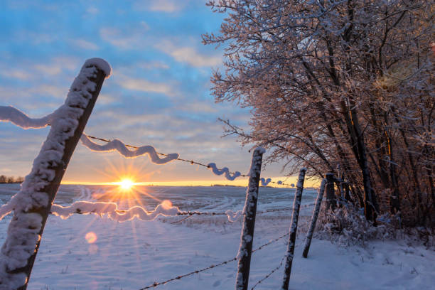 istock Frosty sunlit morning in the countryside 900523442