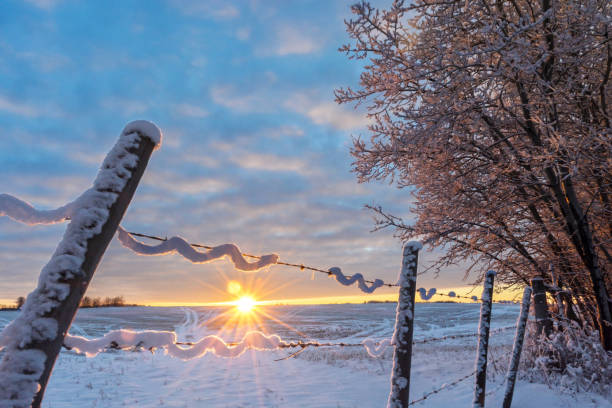 istock Frosty sunlit morning in the countryside 900523516