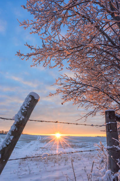 istock Frosty sunlit morning in the countryside 900523518