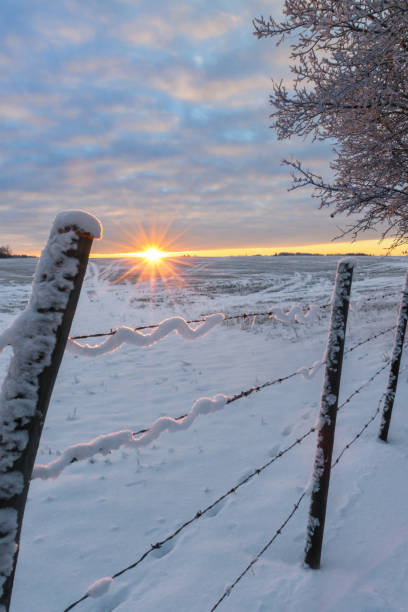 istock Frosty sunlit morning in the countryside 900525626