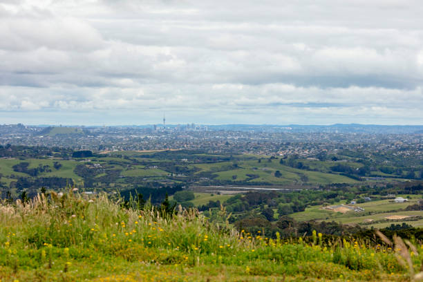 istock Panorama of South Auckland 900526290