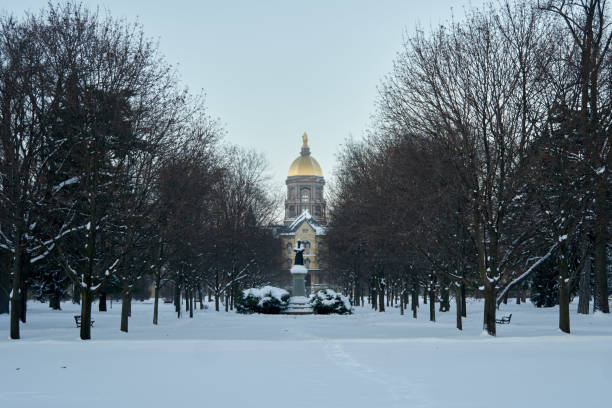 istock Notre Dame in Winter 900528738