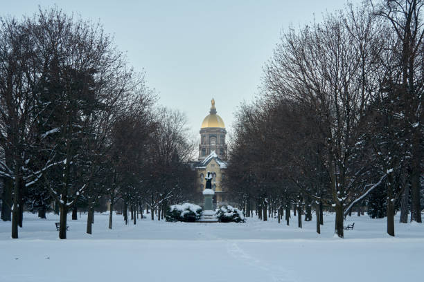 Notre Dame in Winter
