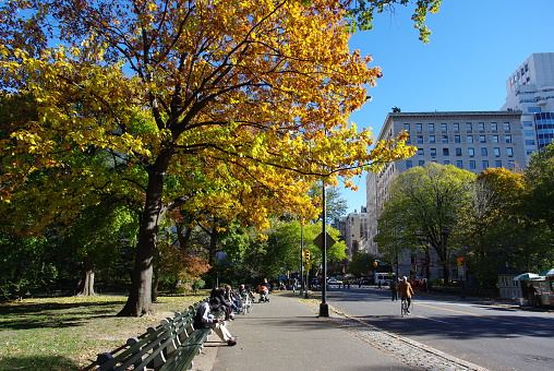 New York City, NY - November 12, 2010. Treelined autumn street with golden foliage on trees, sidewalk.