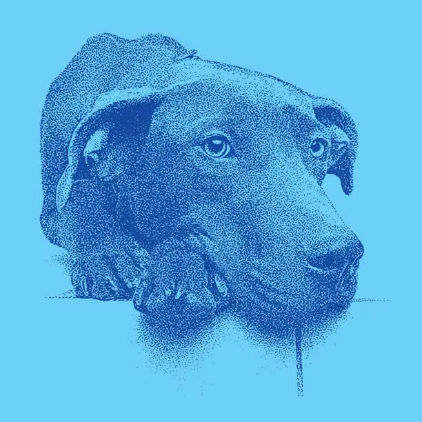 Vector illustration of Colorful Mezzotint of a sleepy Chocolate Labrador Retriever Pit Bull mixed breed dog waiting to be adopted