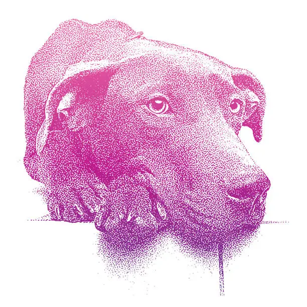 Vector illustration of Colorful Mezzotint of a sleepy Chocolate Labrador Retriever Pit Bull mixed breed dog waiting to be adopted