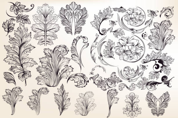 ilustraciones, imágenes clip art, dibujos animados e iconos de stock de colección de vector elementos florales decorativos de estilo vintage - baroque style vector decoration design