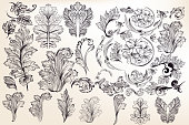 Collection of vector decorative floral elements in vintage style