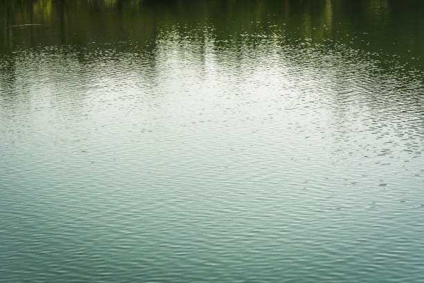 istock Vintage Water bokeh background 900538424