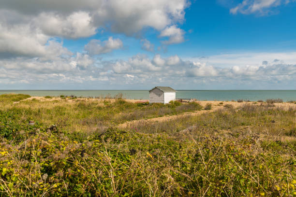 istock The lonely beach hut 900549922