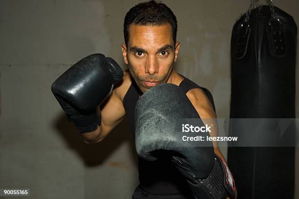 Foto de Boxer e mais fotos de stock de Adega - Característica arquitetônica - Adega - Característica arquitetônica, Adulto, Afro-americano