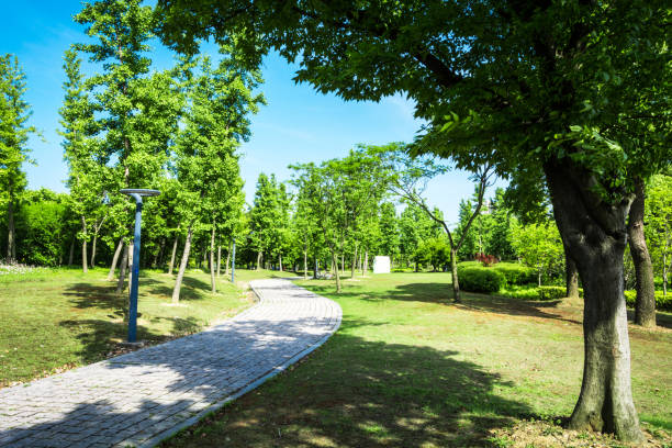 istock Promenade in a beautiful city park 900553606
