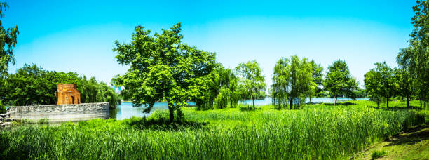 Public park defocused landscape