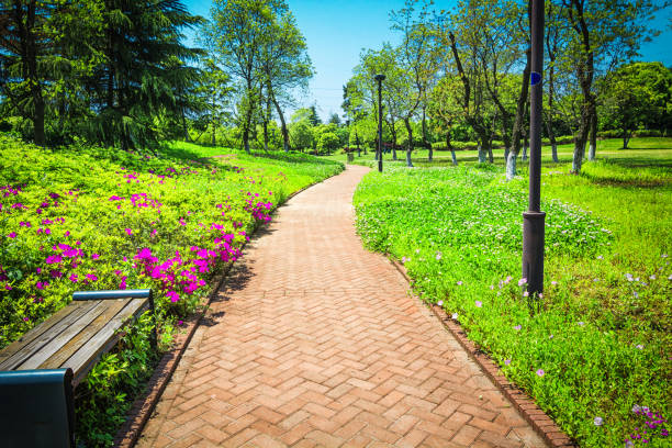 istock Beautiful city park 900554652
