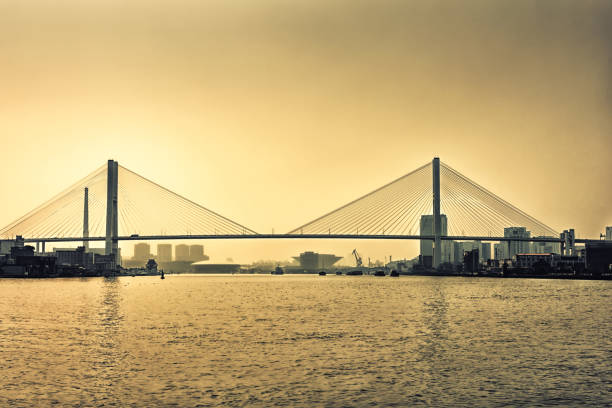 istock big bridge in shanghai china. 900558188