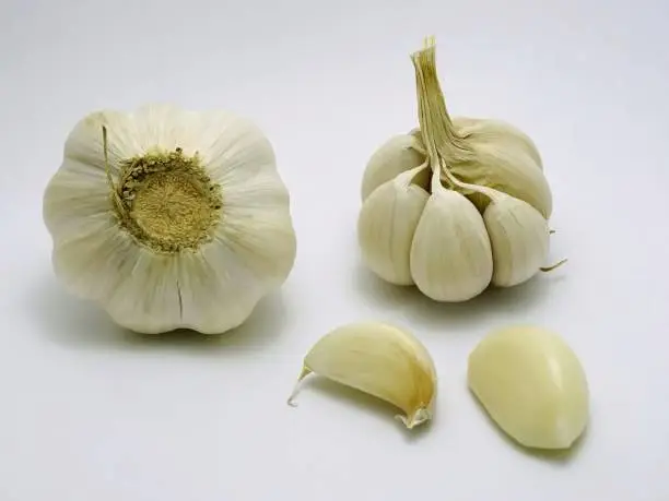 Two garlic bulbs with and without outer shell on white background, including peeled and not peeled garlic cloves. A kind of herbal plants and healthy food related to blood pressure, antibiotics, etc.
