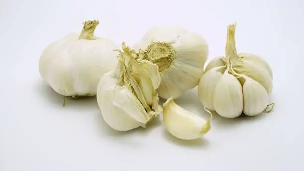 There are peeled and not peeled, with and without shell, cloves and whole garlic. Herbal plants and healthy food related to blood pressure, antibiotics, etc.