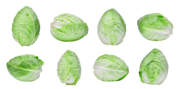 istock set of green pointed cabbage isolated on white background 900562358