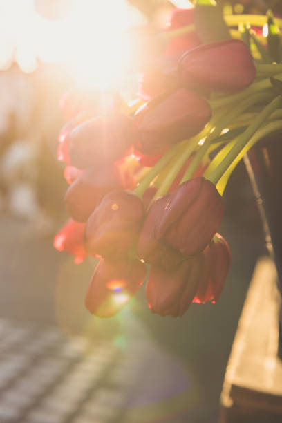 tulipani - for sale industry farmers market market stall foto e immagini stock