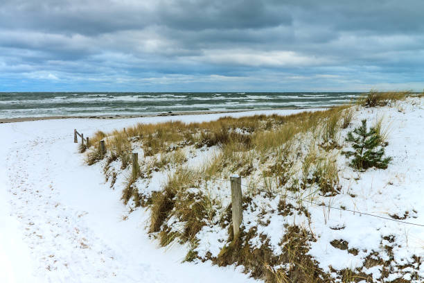 istock Winter on the Baltic Sea coast in Prerow, Germany 900562572