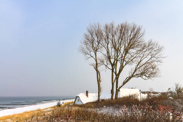 Winter on the Baltic Sea coast in Ahrenshoop, Germany.