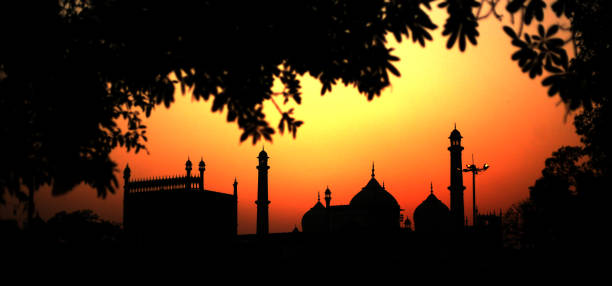 Jama Masjid, Mosque in Old Delhi, India The Masjid-i Jahān-Numā (World-reflecting Mosque), commonly known as the Jama Masjid of Delhi, is one of the largest mosques in India. It was built by Mughal emperor Shah Jahan between 1644 and 1656 at a cost of 1 million rupees, and was inaugurated by an imam from Bukhara, present-day Uzbekistan. The mosque was completed in 1656 AD with three great gates, four towers and two 40 m high minarets constructed of strips of red sandstone and white marble. old delhi stock pictures, royalty-free photos & images