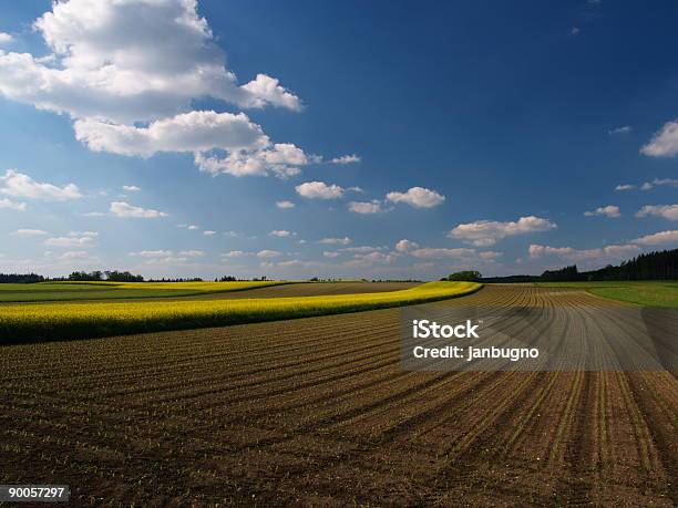 Photo libre de droit de Les Champs Avec Ciel Bleu banque d'images et plus d'images libres de droit de Agriculture - Agriculture, Automne, Bleu