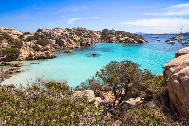 istock Cala Coticcio Beach, Sardinia, Italy 900573194