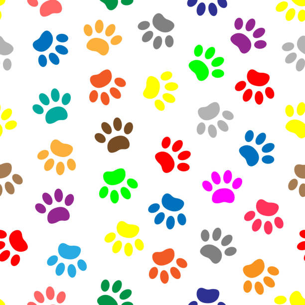 ilustrações de stock, clip art, desenhos animados e ícones de colorful animal paw prints seamless pattern - foot wraps