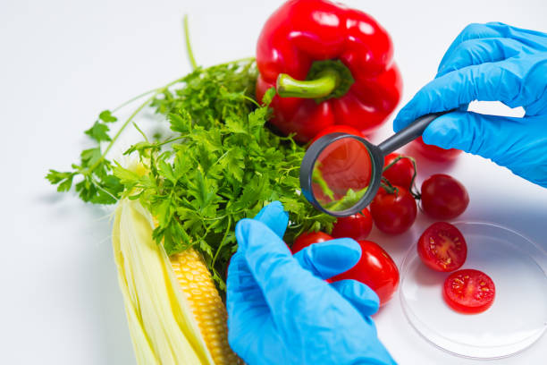 istock Research of various vegetables in the laboratory on GMOs and harmful substances 900577258