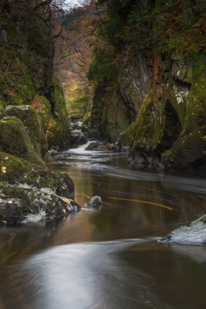 Fairy Glen stock photo