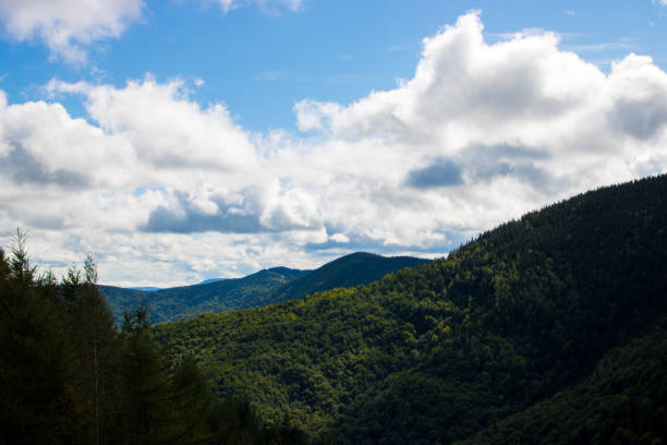 istock Summer in the mountains 900580388