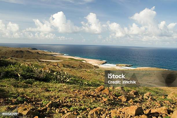 Costa De Aruba Foto de stock y más banco de imágenes de Actividades recreativas - Actividades recreativas, Agua, Aire libre