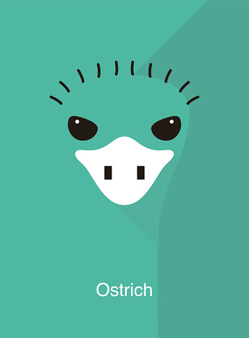 ostrich face flat icon design, vector illustration