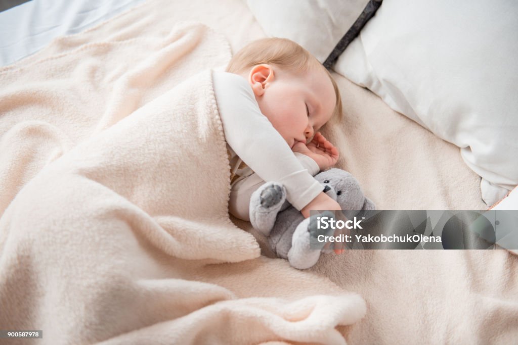 Cute infant dreaming with toy Charming baby sleeping on comfortable bed in embrace with teddy bear. She is holding her thumb in mouth Baby - Human Age Stock Photo