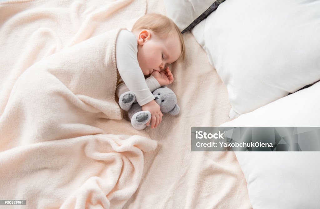 Tranquil infant dreaming with lovely toy Top view of peaceful baby lying at sheets and sucking her finger. She is sleeping with teddy bear in an embrace Baby - Human Age Stock Photo