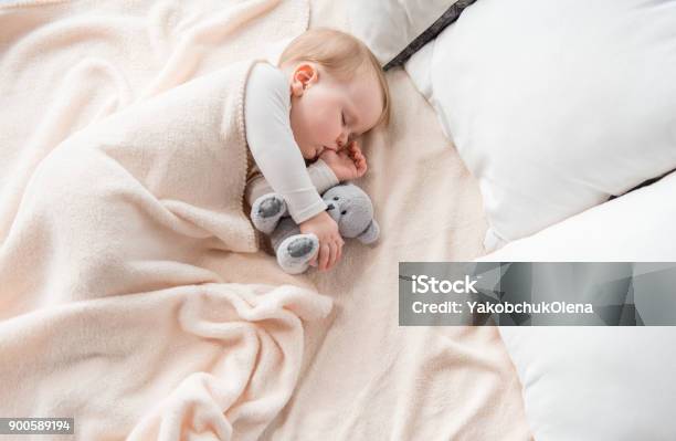 Tranquil Infant Dreaming With Lovely Toy Stock Photo - Download Image Now - Baby - Human Age, Sleeping, Child