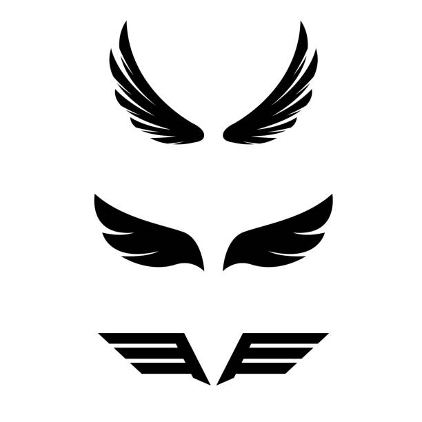 illustrations, cliparts, dessins animés et icônes de illustration de la collection des ailes - wing insignia metal silver