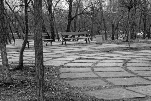 Alley in the natural park in the city center where people walk everyday