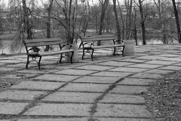 istock Path with trees and benches in a park, monochrome background 900602762