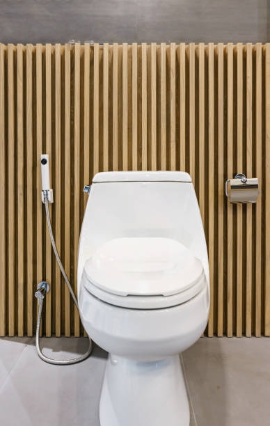 istock White Ceramic Toilet Bowl in front of wood wall 900603634