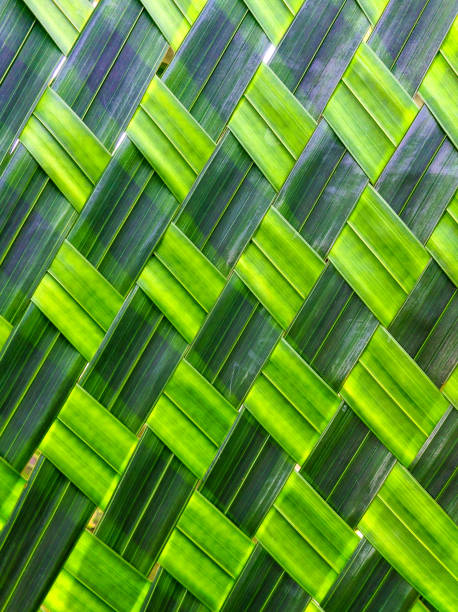 istock weave of tropical palm leaf texture background 900604740