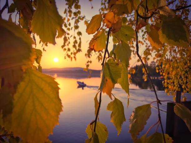 lago autunnale wiew da sotkamo, finlandia. - sunset day back lit autumn foto e immagini stock