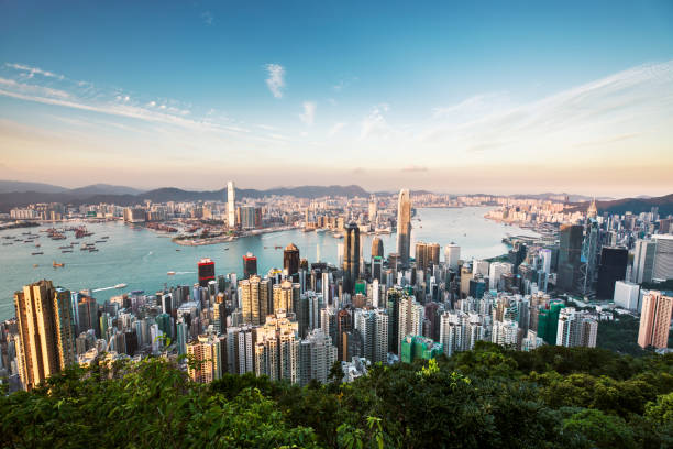 légi felvétel hongkongról - hongkong témájú stock jellegű vizuális alkotások, jogdíjmentes fotók és képek