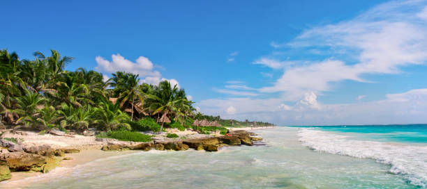 istock Tropical Sandy Beach on Caribbean Sea. Mexico. 900612216