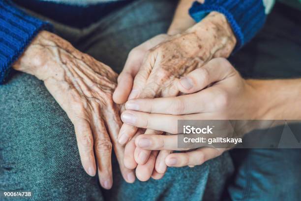 Hands Of An Old Woman And A Young Man Caring For The Elderly Close Up Stock Photo - Download Image Now