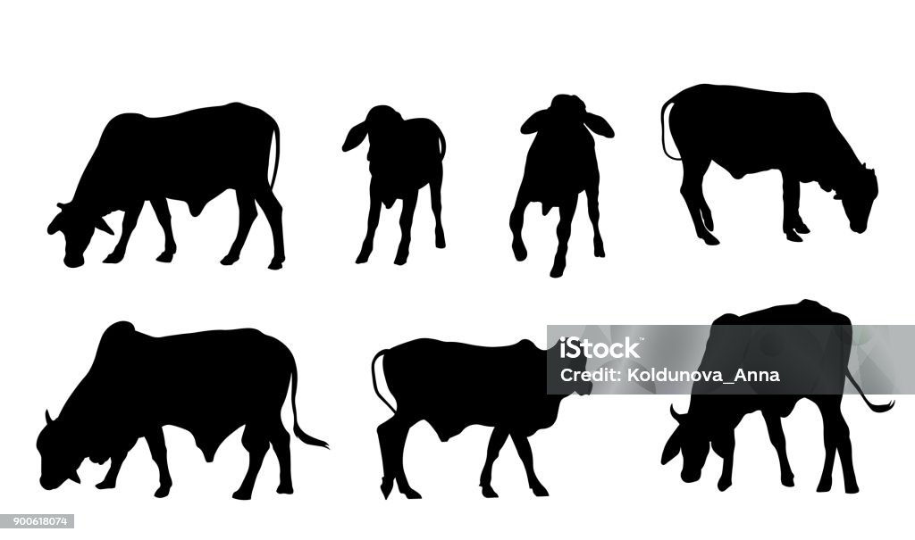 cows silhouette. They are eating grass from different sides. Set of cows silhouette. They are eating grass from different sides. Domestic Cattle stock vector