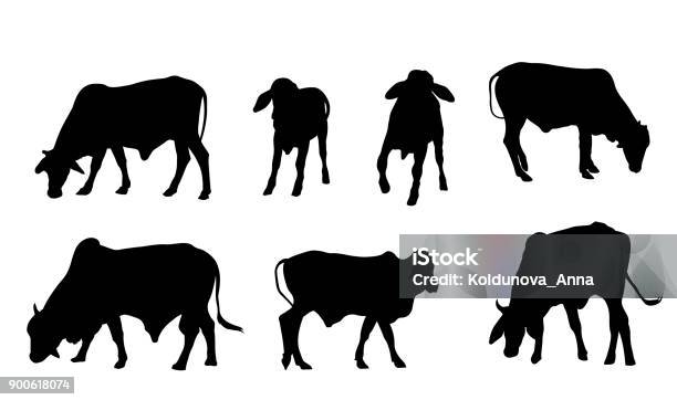 Cows Silhouette They Are Eating Grass From Different Sides Stock Illustration - Download Image Now