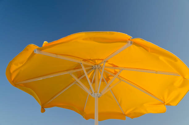 istock Colorful Beach Umbrellas against the blue sky 900619468